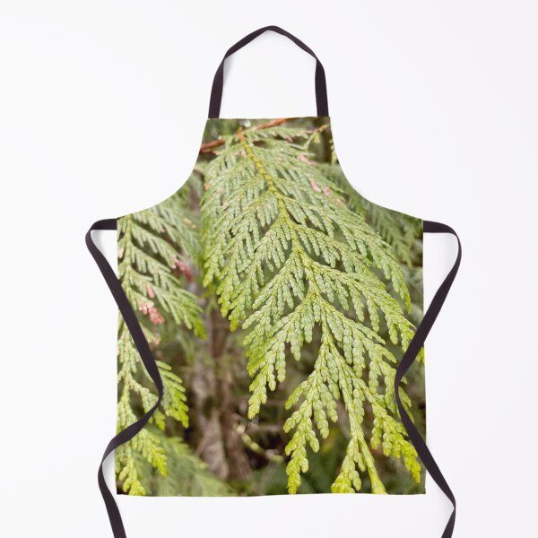 Item preview, Cedar Foliage designed and sold by PilotPresents.