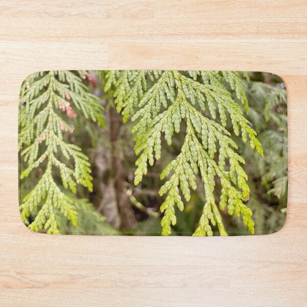Item preview, Cedar Foliage designed and sold by PilotPresents.