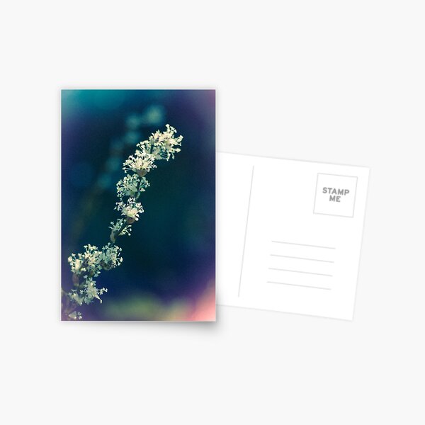 Fairy Kisses Postcard