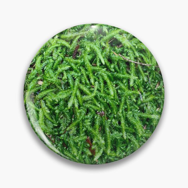 Item preview, Moss Or Worms designed and sold by PilotPresents.