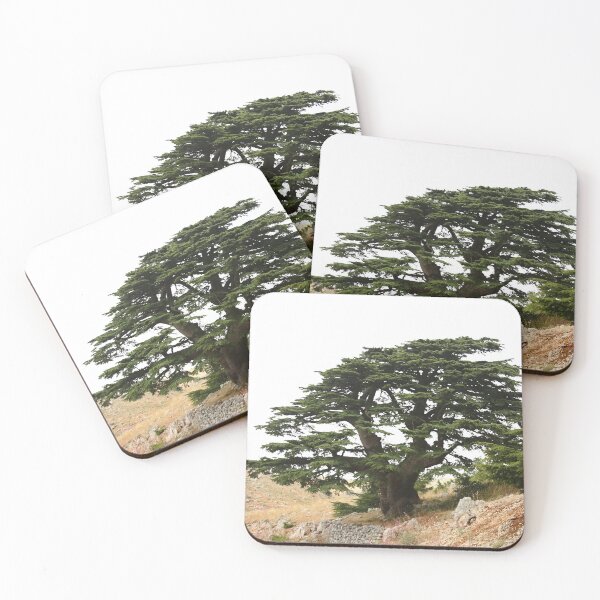Item preview, Lebanon Cedar designed and sold by dkaranouh.