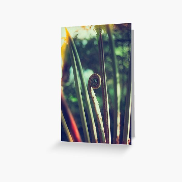 Uncurl Greeting Card