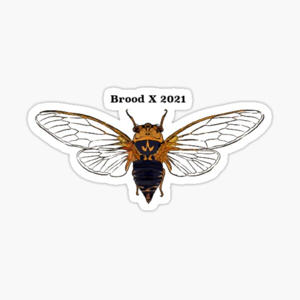 Brood X Giant Cicadas 2021 Sticker Sticker