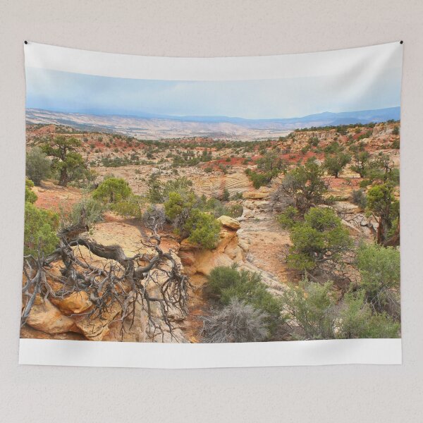 Item preview, Southern Utah landscape designed and sold by FranWest.