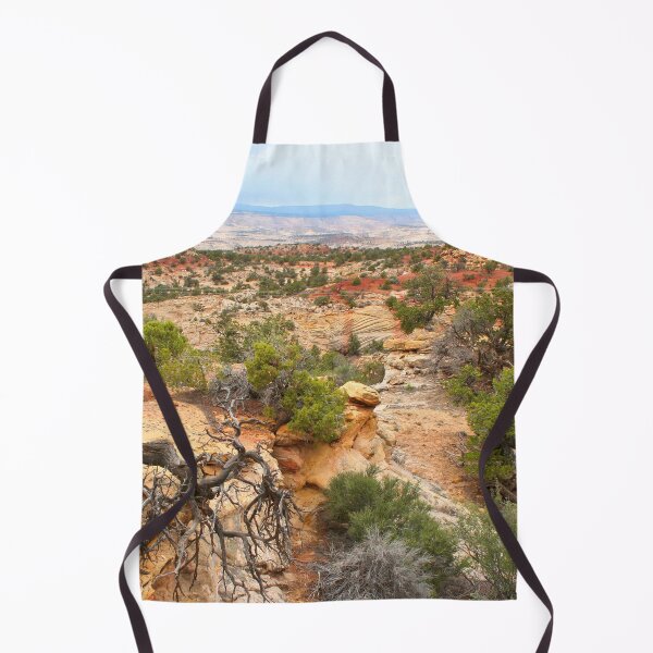 Item preview, Southern Utah landscape designed and sold by FranWest.