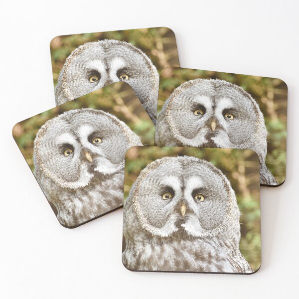 Item preview, Great grey owl designed and sold by cdkphotos.