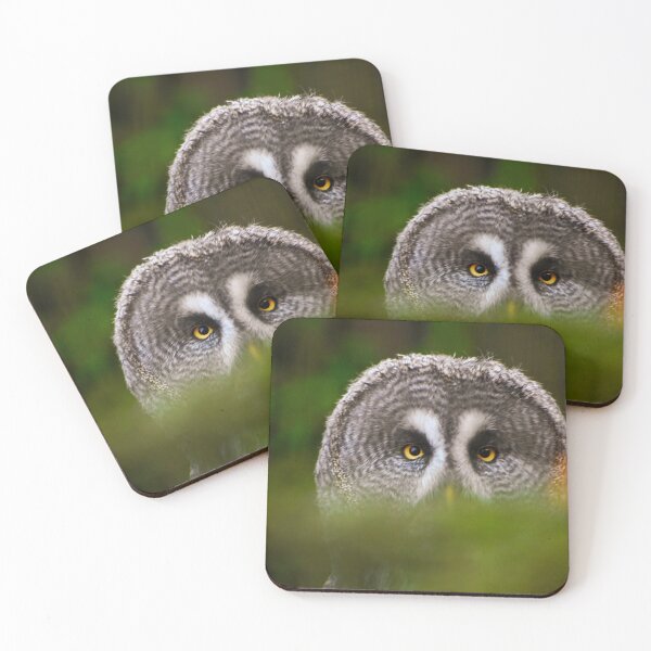 Item preview, Great grey owl designed and sold by cdkphotos.