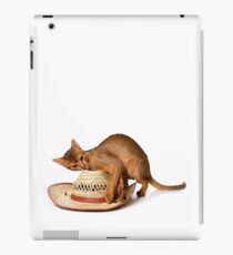 Lovely fluffy kitten Abyssinian cat iPad Case/Skin