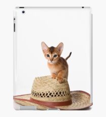 Lovely fluffy kitten Abyssinian cat iPad Case/Skin