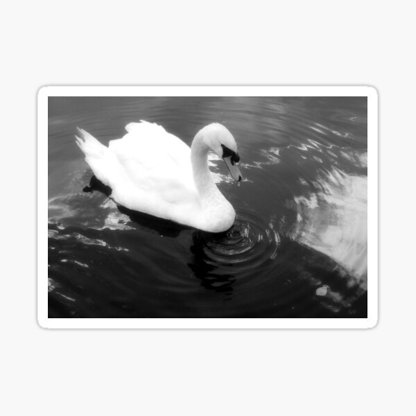 The Swan Sticker
