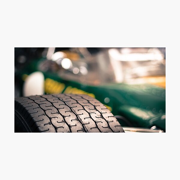 Lotus Photographic Print