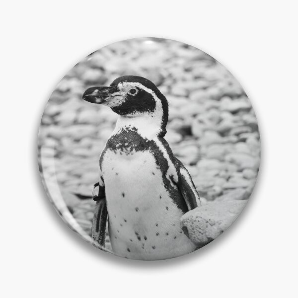 Item preview, Black and white penguin designed and sold by cdkphotos.