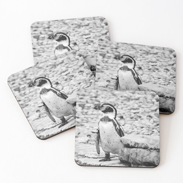 Item preview, Black and white penguin designed and sold by cdkphotos.