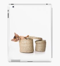 Lovely fluffy kitten Abyssinian cat iPad Case/Skin