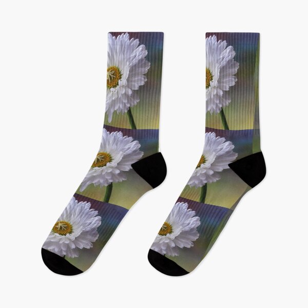 Item preview, White Bellis Daisy. designed and sold by John Ray.