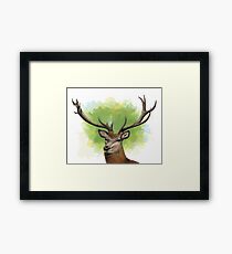 Red deer Framed Print