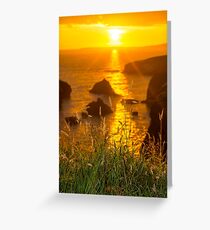 beautiful sunset over the coastal rocks Greeting Card
