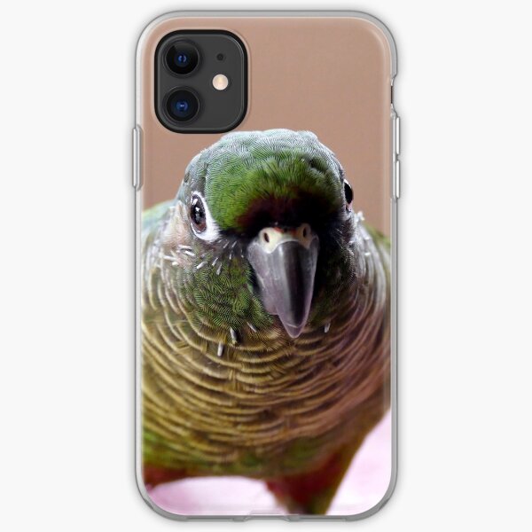 Mischievious Echo - Maroon-Bellied Conure iPhone Soft Case