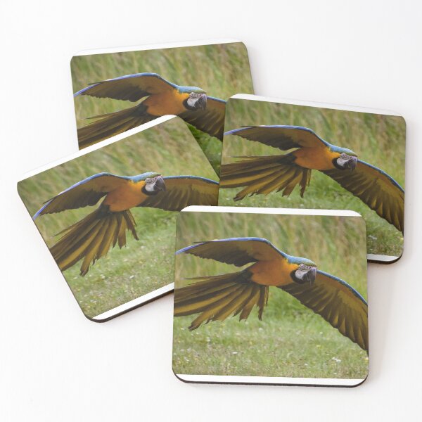 Item preview, Flying blue and yellow parrot designed and sold by cdkphotos.