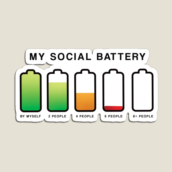 My Social Battery for the Introvert Pin for Sale by SunshineStudio