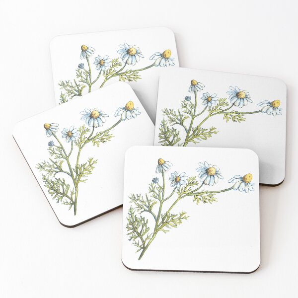 Item preview, chamomile designed and sold by KarolinaSt.