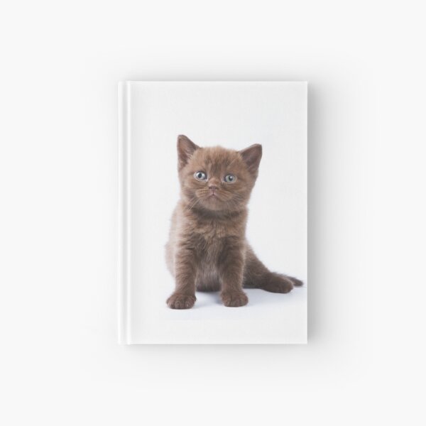Item preview, Charming fluffy kitten British cat designed and sold by utekhina.
