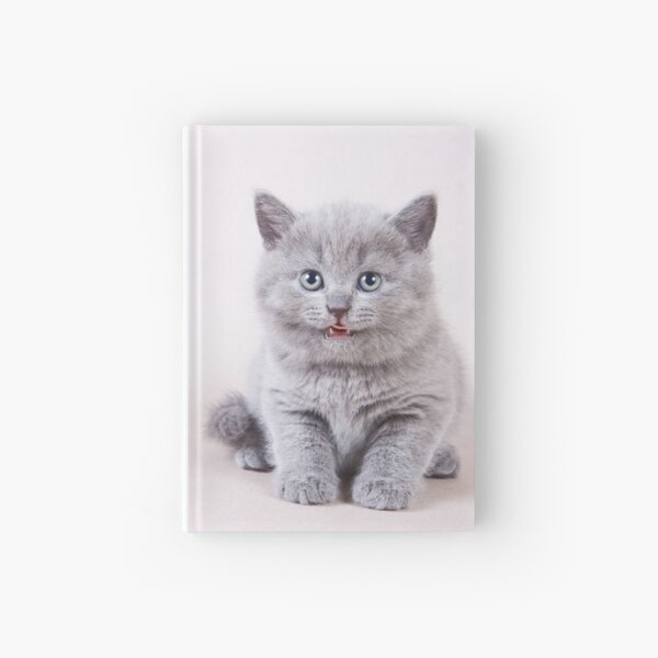 Item preview, Charming fluffy kitten British cat designed and sold by utekhina.