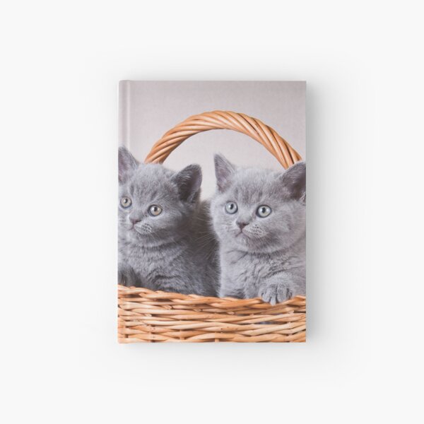 Item preview, Charming fluffy kitten British cat designed and sold by utekhina.