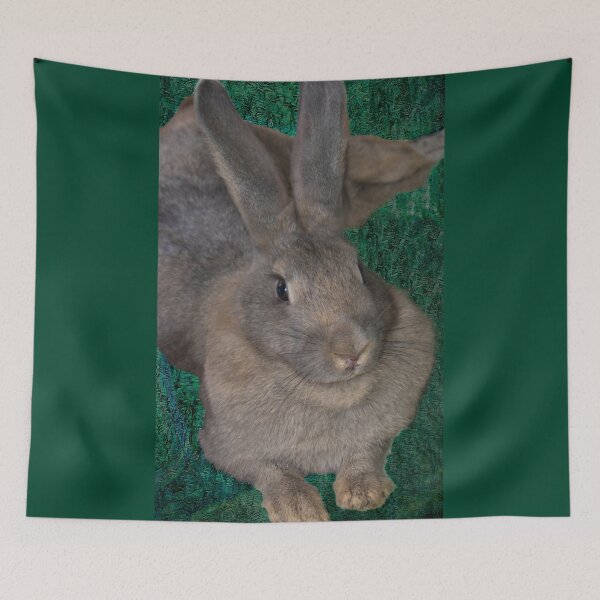 Item preview, Bruna The Bunny II designed and sold by alabca.