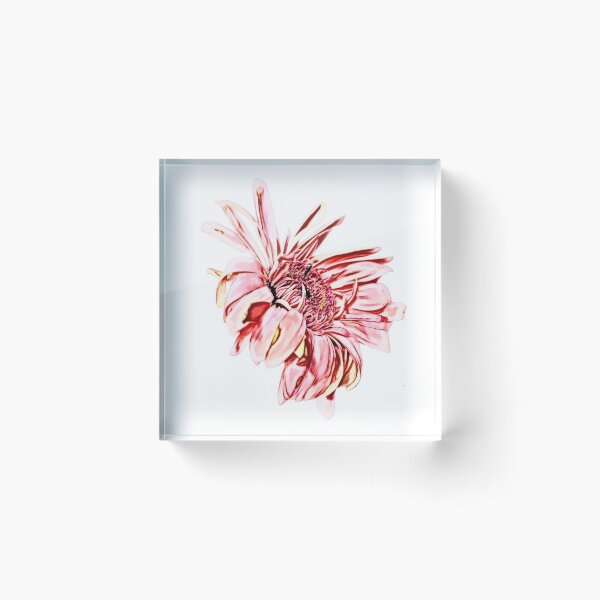 Item preview, Cartoonified Pink Gerbera designed and sold by Amberjays.