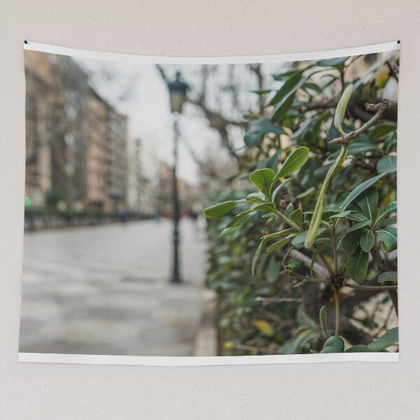 Item preview, ZARAGOZA STREETS - ZARAGOZA PHOTOGRAPHY - SPAIN  designed and sold by Tropical Blood.