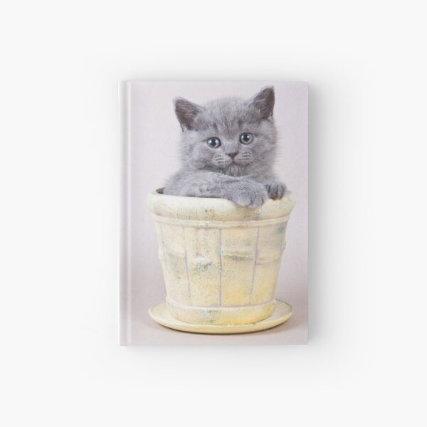 Item preview, Charming fluffy kitten British cat designed and sold by utekhina.