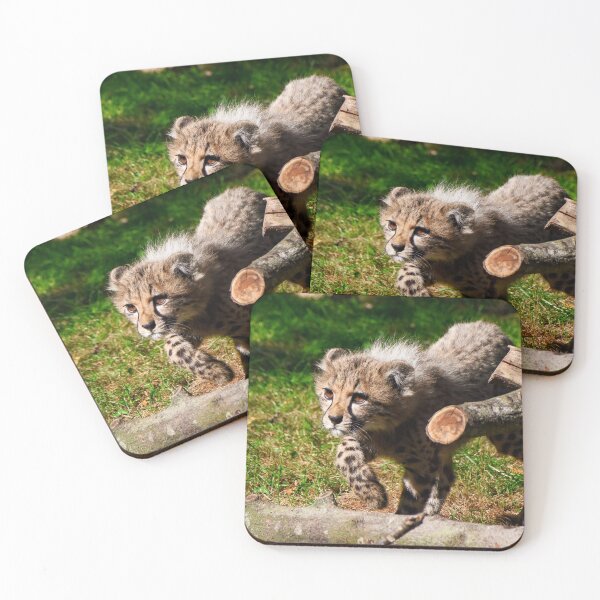 Item preview, Prowling cheetah cub designed and sold by cdkphotos.
