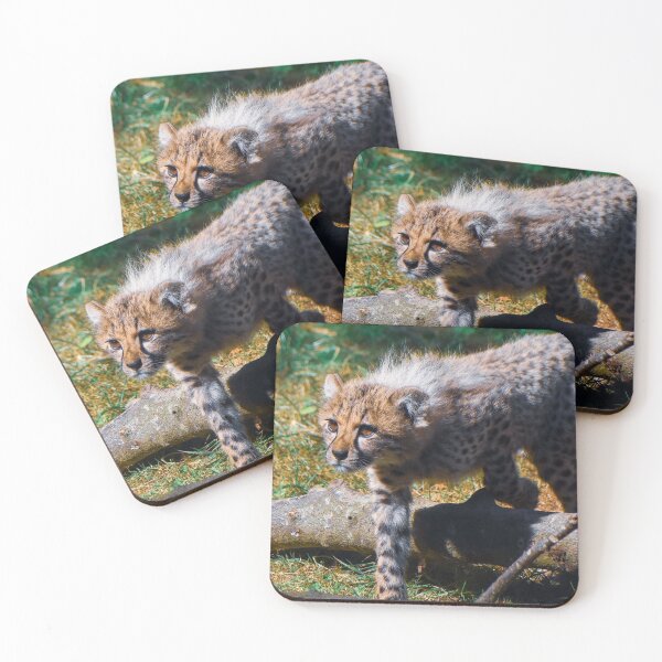 Item preview, Cheetah cub designed and sold by cdkphotos.