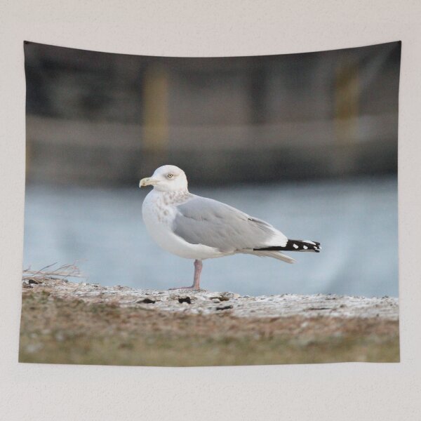 Item preview, Seagull on the River Shore designed and sold by Susie Kramer.