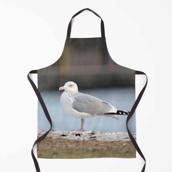 Item preview, Seagull on the River Shore designed and sold by Susie Kramer.