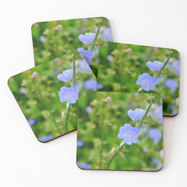 Item preview, chicory delicate blue flowers  designed and sold by mrivserg.