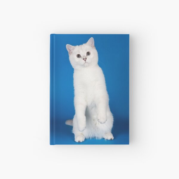 Item preview, Charming cute white fluffy kitten cat designed and sold by utekhina.