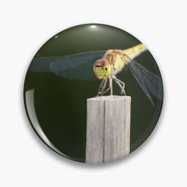 Item preview, Dragonfly - Anisoptera Photography designed and sold by MoonsmileProd.