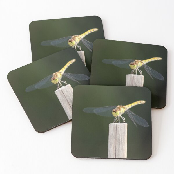 Item preview, Dragonfly - Anisoptera Photography designed and sold by MoonsmileProd.