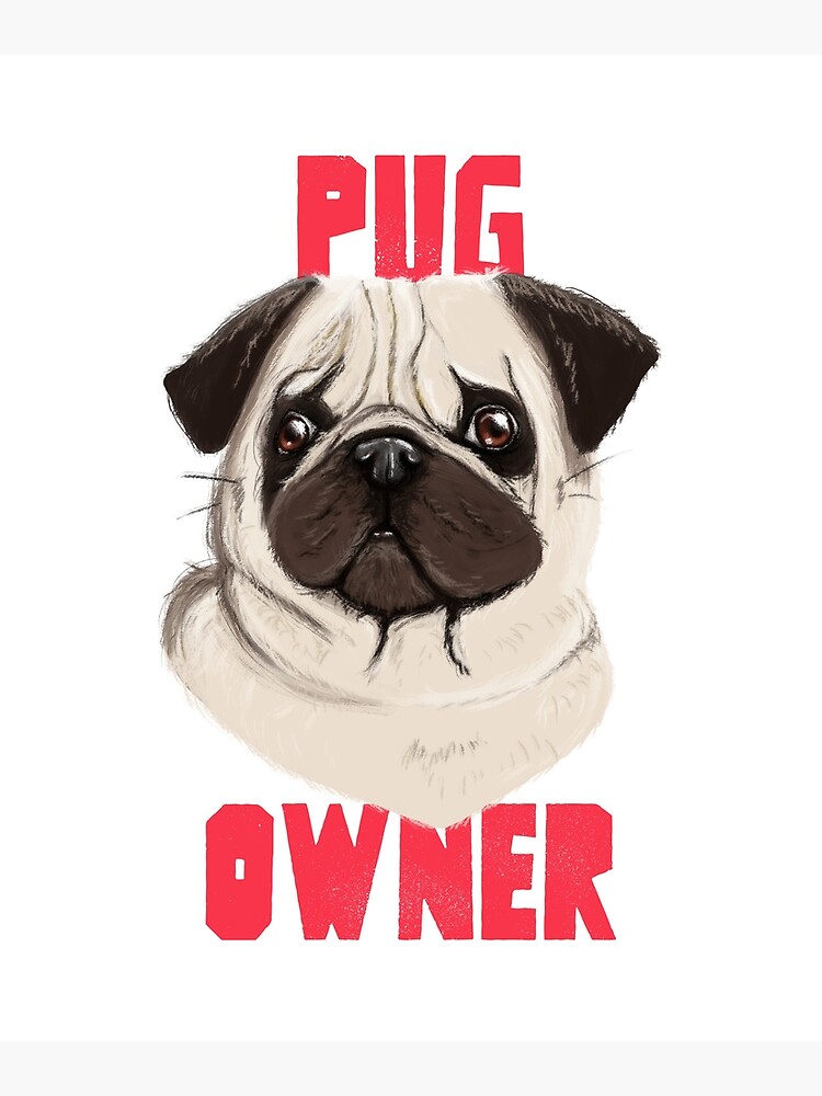 Pug Sunglasses Dog Owner | Poster