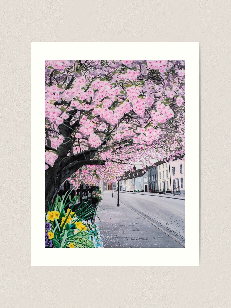 Cherry Blossom on Crown Street Painting
