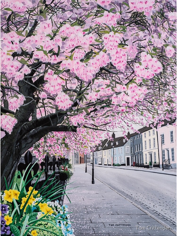 Cherry Blossom on Crown Street Painting