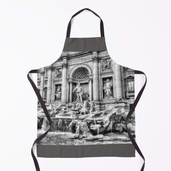Item preview, Trevi Fountain, Black And White designed and sold by Paul Thompson Photography.