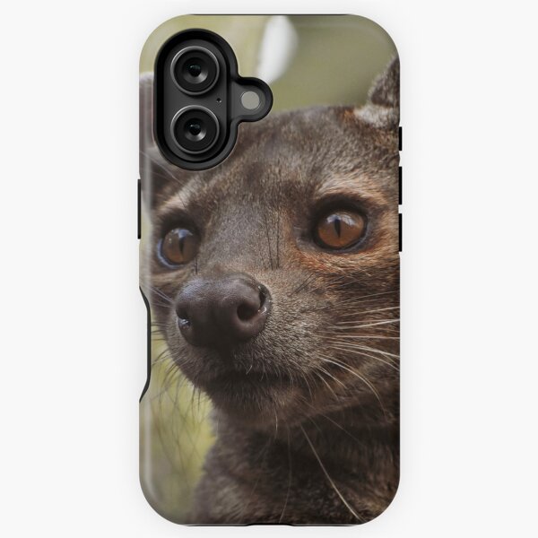 Item preview, Beautiful fossa designed and sold by cdkphotos.