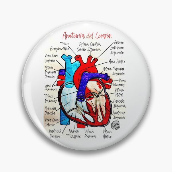 Item preview, Anatomía del Corazón (Español) designed and sold by Arte Del Cuerpo Humano.