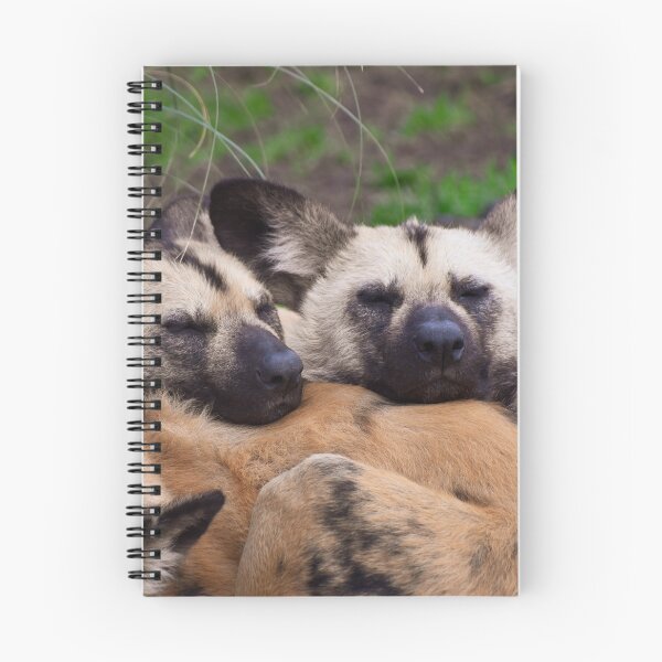 Item preview, Sleeping African painted dogs designed and sold by cdkphotos.