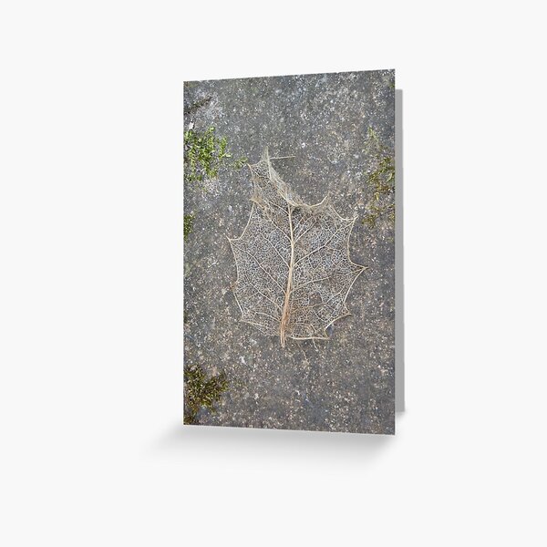 Holly Skeleton Leaf Greeting Card