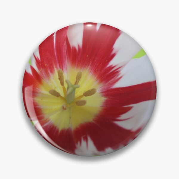 Item preview, HAPPY CANADA 150 tulip: tulip story- Dutch flower growers screw up the order designed and sold by KimhengFineArt.