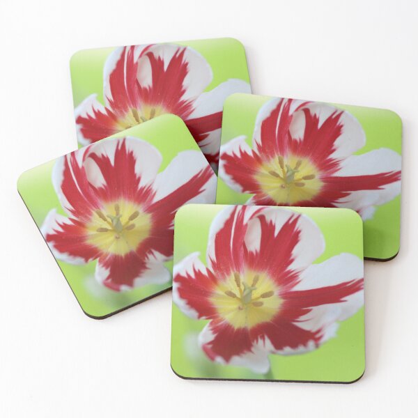 Item preview, HAPPY CANADA 150 tulip: tulip story- Dutch flower growers screw up the order designed and sold by KimhengFineArt.